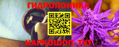спайс Кинель