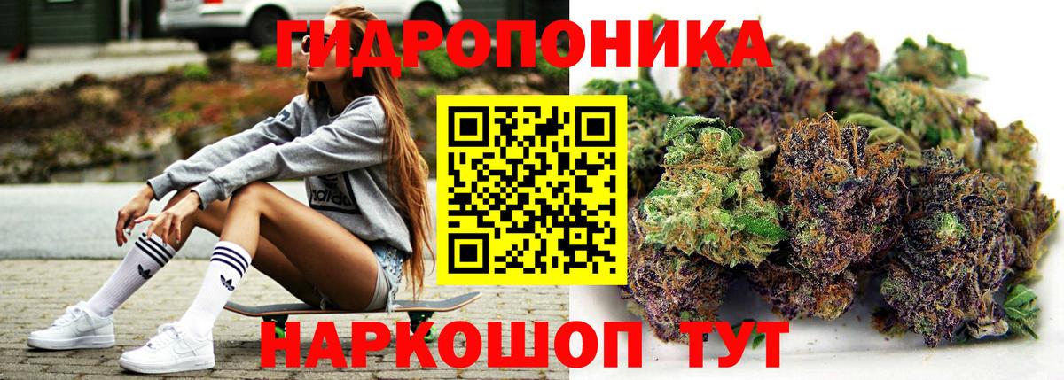 Шишки марихуана индика Киселёвск