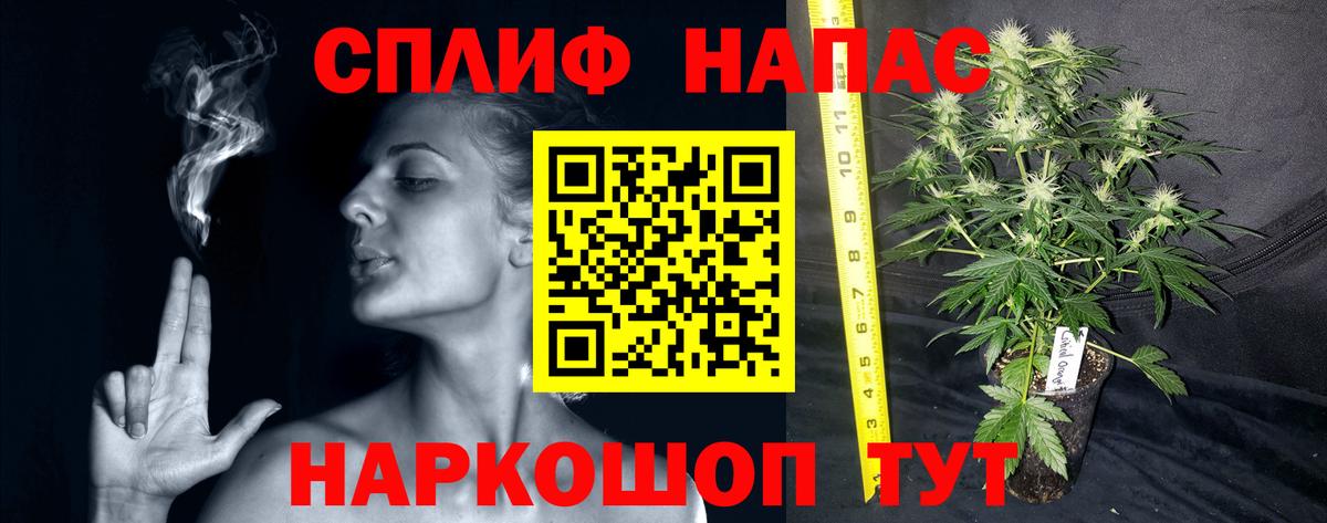Киселёвск  Конопля индика  Вход с VPN  Бошки марихуана VHQ 